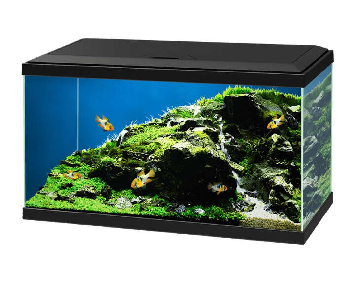 CIANO Aquarium 60